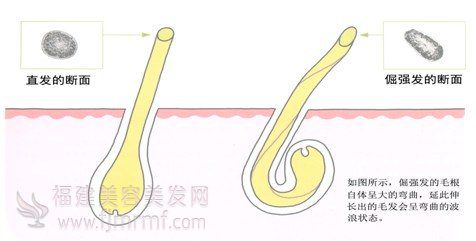 &#24320;&#20113;&#32593;&#39029;&#29256;&#39029;&#38754;&#30331;&#24405;&#45;&#24320;&#20113;&#40;&#20013;&#22269;&#41;