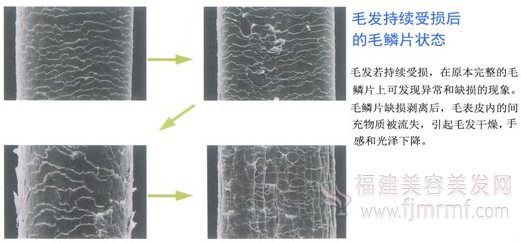 &#24320;&#20113;&#32593;&#39029;&#29256;&#39029;&#38754;&#30331;&#24405;&#45;&#24320;&#20113;&#40;&#20013;&#22269;&#41;
